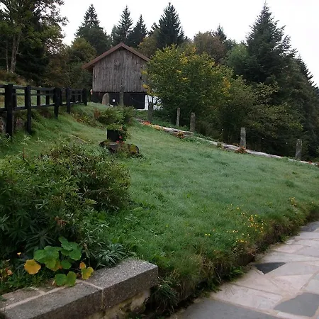 La Timoniere *