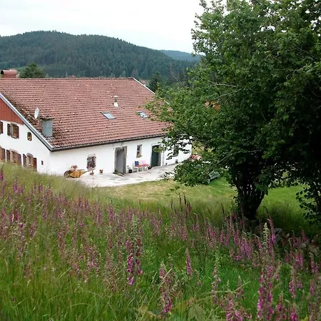 La Timoniere * Gerardmer