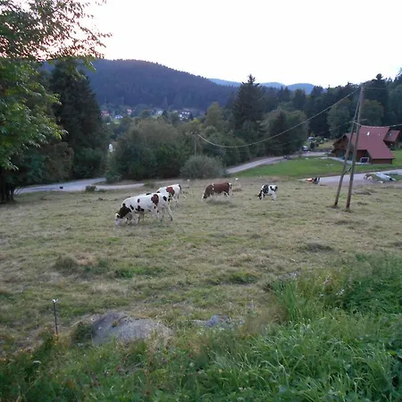 La Timoniere * Gerardmer