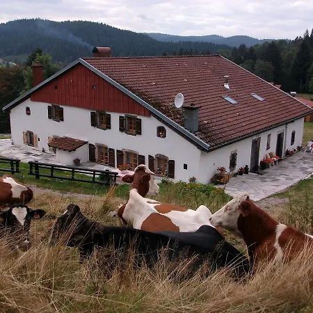 La Timoniere Apartment Gerardmer