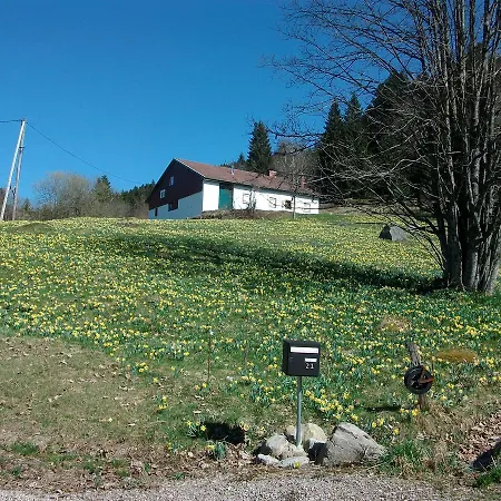 La Timoniere Apartment *