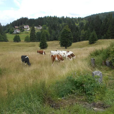 La Timoniere Gerardmer